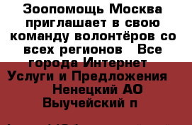 Зоопомощь.Москва приглашает в свою команду волонтёров со всех регионов - Все города Интернет » Услуги и Предложения   . Ненецкий АО,Выучейский п.